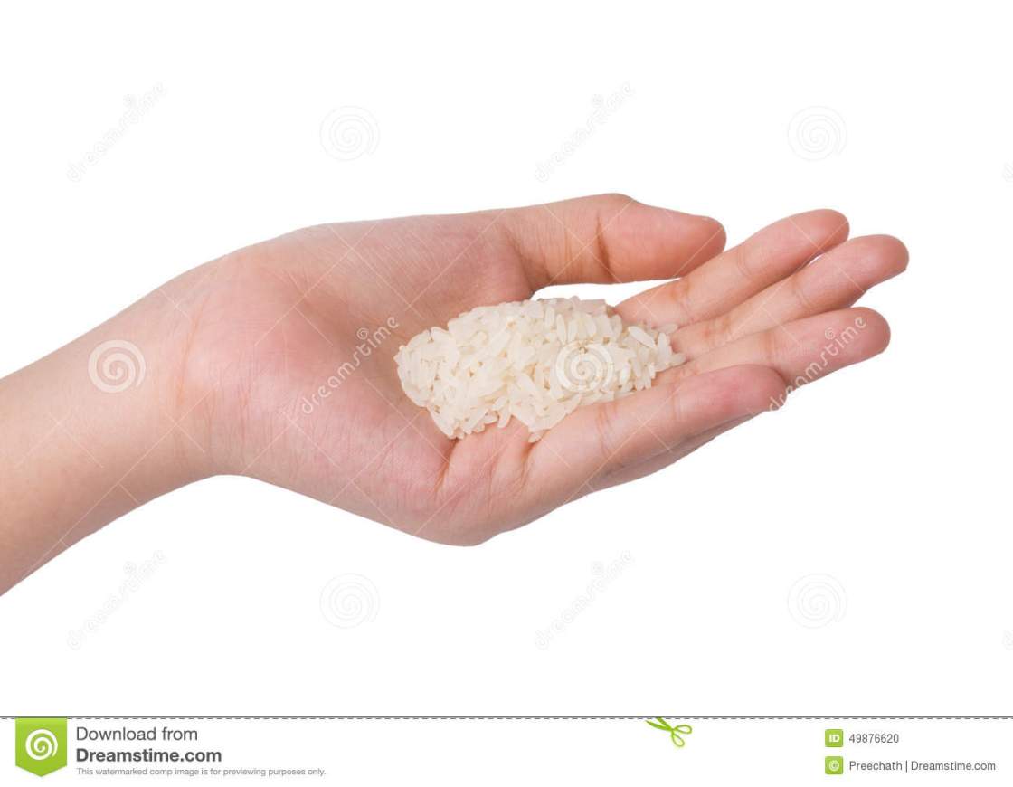 Рис держит воду. Горсть риса. Горсть риса в руке. Рисовое зернышко на руке. Пригоршня риса.